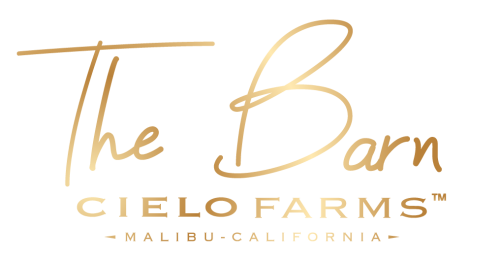 The Barn logo